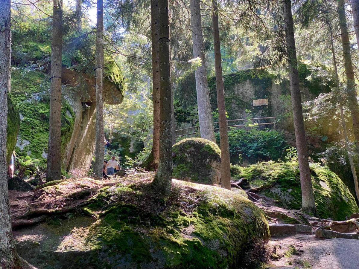 Ferienwohnung Oxana Im Naturpark Fichtelgebirge Schonwald  Luaran gambar