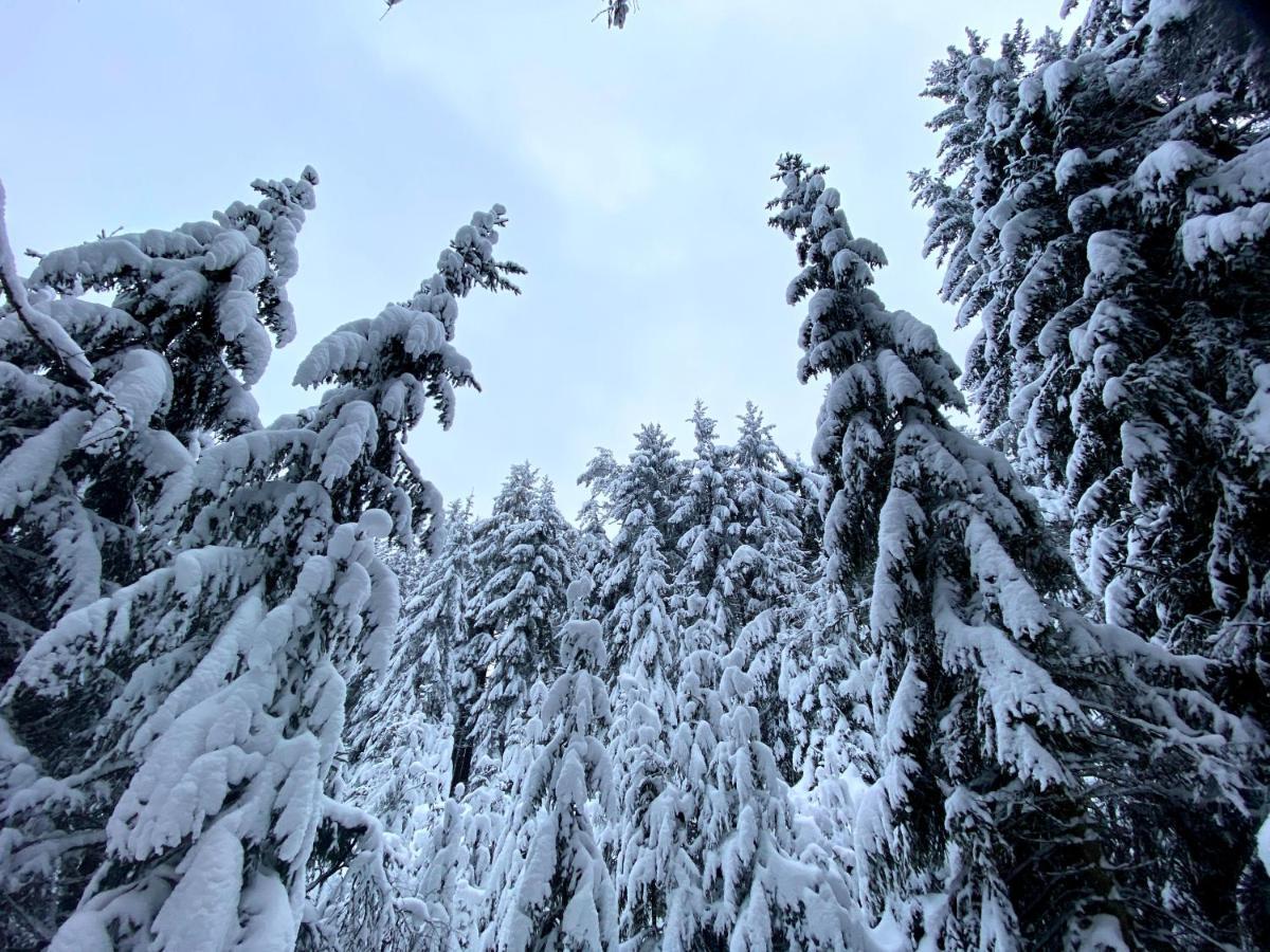Ferienwohnung Oxana Im Naturpark Fichtelgebirge Schonwald  Luaran gambar