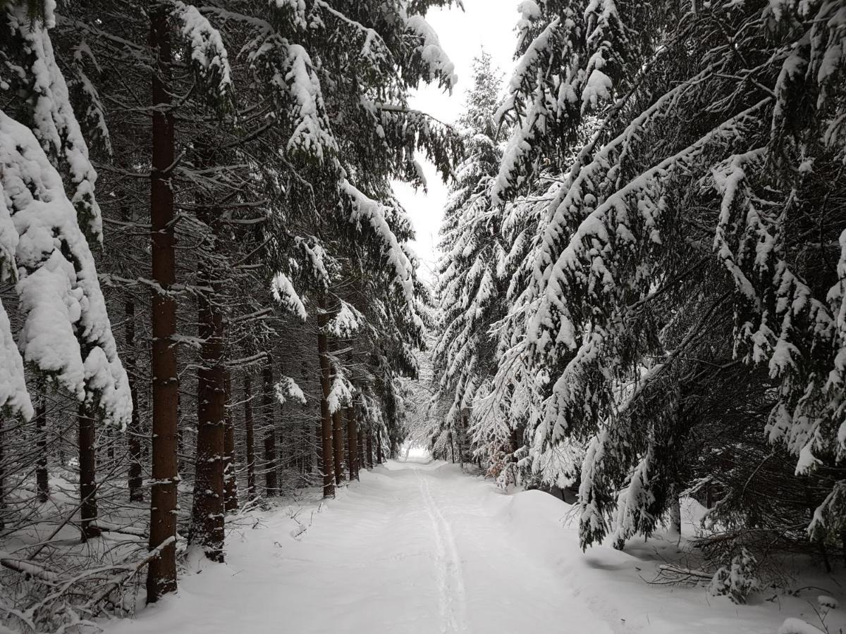 Ferienwohnung Oxana Im Naturpark Fichtelgebirge Schonwald  Luaran gambar